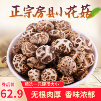 New goods Hubei Fangxian small flower mushroom 500g pearl mushroom meat thick fragrant Shennongjia dried mushroom imitation wild mushroom