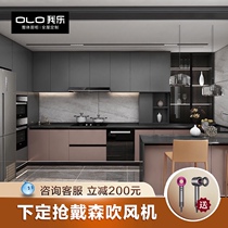 I Le Morandi light luxury kitchen cabinet whole cabinet custom Zhongdao table integrated quartz stone countertop