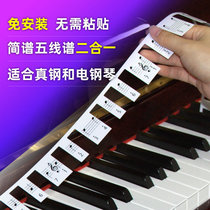 Music Cat Piano Keyboard Stickers 88-key Electronic Piano Electric Piano Staff Note Keyboard Phonetic stickers Piano Key Stickers