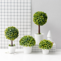 Nordic bionic simulation green plant fake flower plant potted indoor office living room plastic desktop decoration small ornaments