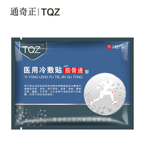 Hong Kong Tongqizheng Jin Gonggu Tongzong Joints Soothing Stickers 5 Tablets Box Cold Application JGT