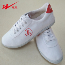 Taiji shoes double star sports shoes men and women childrens martial arts shoes Taiji shoes canvas beef tendon training shoes