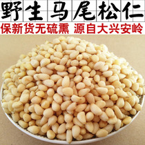 20 New pine nuts Northeast wild pine nuts horsetail pine Rensheng Yan pine nuts pregnant baby food 500 g