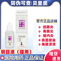 Berio Bailing Jinfang Compound Gallsam Eye Drops Pet Cat Eye Drops Conjunctival Keratitis Eye Drops