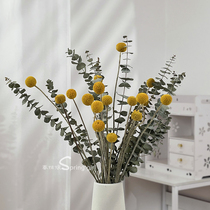 Gold ball eucalyptus leaf dried flower bouquet diy material living room bedroom decoration Nordic style literary flower arrangement