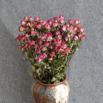 Fruit bubble dried flowers rose rose living room decoration shooting props rose dried flowers home decoration