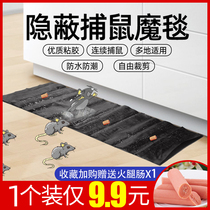 Big mouse paste super strong mouse stick stick stick Rat Glue mouse glue Mouse blanket increase thickened rat trap artifact home a nest end
