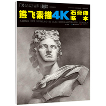 Xiongfei sketch 4K plaster image Lin Benmei Classroom Xiongfei facial features practice sketching structure example Light and dark sketching steps Fan painting copy High Art joint examination Art book sketch plaster head copy template Detailed steps