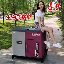 Environmental protection horizontal heating full automatic hot water special heating stove biomass granules fuel boiler home heating stove