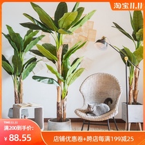 Seven MOS simulation banana tree high-grade tropical banana tree green plant shopping mall interior decoration large fake tree ornaments