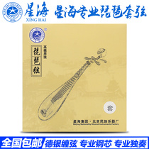 (Xinghai professional pipa string) advanced pipa 1 2 3 4 sets of string pipa piano string Deyin string