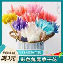 Dried flowers Reed hipster ornaments decorative ornaments living room bouquets set up Nordic simulation flower arrangement wheat ears rabbit tail grass