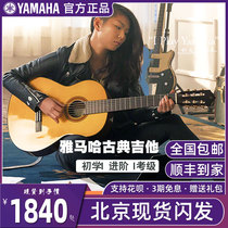 YAMAHA Yamaha Single Board Classical Guitar CG122M 142 Advanced 162 182 Test 192 to Vibrate CGTA