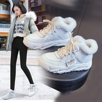 High-end quality plus velvet Torre shoes women 2021 new autumn and winter Hong Kong style leisure Joker thick bottom snow boots women