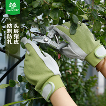 Woschworth stab-proof waterproof breathable and wear-resistant 9 5-inch pig scalp gardening protective gloves