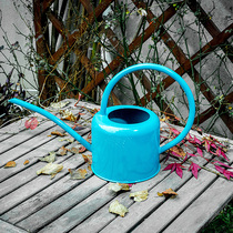 Sprinkler watering pot watering pot watering pot rural export Europe America Japan and South Korea tin gardening fleshy slender mouth medium