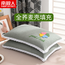 Antarctic people full buckwheat shell pillow core a single student single cervical pillow cotton pillow