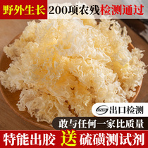 (Special glue) wild Tongjiang basswood small silver ear flower white fungus dry goods snow ear broken lotus seed soup