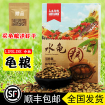 The lifeline tortoise turtle feed water turtle grain small tortoise grain young turtle grain turtle grass grain stone money yellow marginal turtle calcium turtle grain