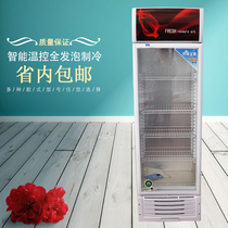 Beverage refrigerator display cabinet single door beer cabinet refrigerated vertical commercial direct cooling small glass vegetables and fruits preservation