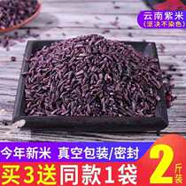 Purple Rice Yunnan Special Ink Jiang Purple Glutinous Rice 2 Catty Black Rice Glutinous Rice Rice Blood Rice Group Made Purple Mildew New Rice