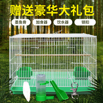 Birdcage Pigeon cage Xuanfeng Budgerigar starling Quail embroidered eyes special large large breeding breeding household
