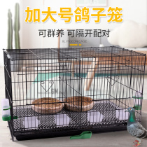 Bird cage Pigeon cage Starling parrot Bird cage supplies utensils Large oversized breeding breeding household blind date matching