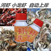 Shrimp medicine shrimp spirit shrimp spirit lobster river shrimp shrimp shrimp shrimp shrimp shrimp shrimp shrimp shrimp shrimp shrimp shrimp shrimp shrimp