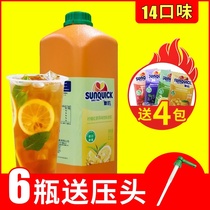 sunquick Shindi new lemon black tea concentrated juice Juice original juice thick pulp milk tea shop special commercial 2 5L