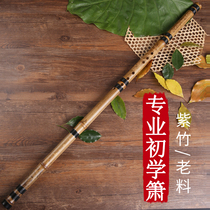 Xiao Musical Instruments Adult College Students Professional Beginnings Self-Learning Zero Base Refined Purple Bamboo Xiao Jade Screen Dongxiao