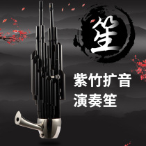 Sheng musical instruments 14 spring Sheng beginners professional adults Childrens introduction National musical instruments send Sheng accessories 17 spring amplified Sheng