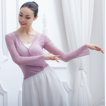 Chinese dance long-sleeved lace-up gauze modern classical national body rhyme yoga performance base training dance practice dress female