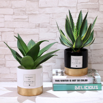 Nordic simulation plant ins wind decoration home table decoration bedroom fake potted small decoration living room creative fake flower