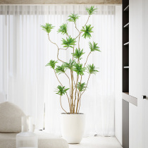 Nordic bionic green plant lily bamboo ins wind landing simulation plant potted indoor water lily fake tree decoration ornaments