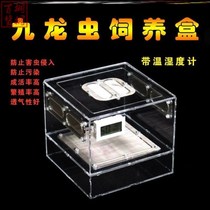  Kowloon worm breeding box feeding box Acrylic Kowloon worm breeding box larva or fecal separator Kowloon worm feeding
