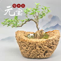 Ingot-shaped natural absorbent stone Rockery Bonsai Sheung Shui stone rough rockery stone Bonsai Natural rough landscaping