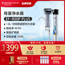 Love Whirlpool Mother & Baby Water Purifier Straight Drinking Machine Kitchen Water Purifier Home Tap Water Filter EF-900P PLUS