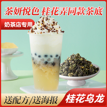 Tea Yan sweet-scented osmanthus ohua oolong tea bottom raw materials like tea wine brewing sweet-scented osmanthus frozen fruit tea milk tea shop dedicated