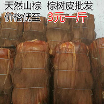 Brown bark Palm Palm hair brown silk mountain Brown green ravine column bar palm skin Palm Palm Silk Brown peel vintage decoration