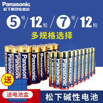  Panasonic No 5 alkaline battery No 5 childrens toy car mouse dry battery wholesale TV microphone mouse Electric toothbrush Air conditioning remote control hanging alarm clock No 7 No 7 battery 1 5V