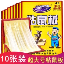 10 Master Chen Zhang a sticky mouse board increased mouse repelling catching and killing big mice rat-catching artifact household super-powerful Mouse stickers