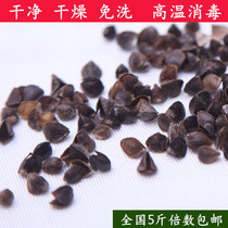 Buckwheat Shell Bulk Pure Buckwheat Leather Pillow Core Padding Red Peak Sweet Buckwheat Peel Adult Bitter Buckwheat Shell 5 Catty