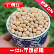 Special offer pea farmers self-grown specialty white pea raw pea dry pea Miscellaneous grain cold beans wheat beans