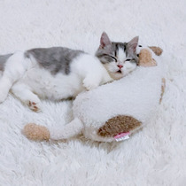 Cat cat dog dog deep sleep pillow head Japan cattyman step on milk plush bite self-hi imported toys