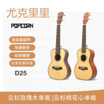 Popcorn Parken D25 ukulele Face Sheet 23 inch 26 inch beginner boys and girls beginner guitar double 12