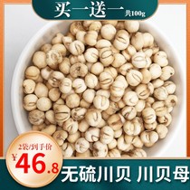 Buy 1 get a total of 100G Chuanbei Sichuan Fritillaria Chinese herbal medicine imitation wild authentic Sichuan Sichuan Bei Fen Chuan shellfish