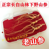 Changbai Mountain Ginseng Liquor Dried Forest Ginseng Wild Ginseng First-class Ginseng Boxes