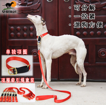 Prairie Abba Dog Neck Ring Traction Rope Dog Neck Rope Gree Greyhound Whitbit Fine Dog Afghanistan Collar