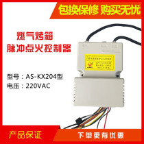 Henglian Hongling Southern Kitchen Bao Honglian Lijia gas oven igniter pulse Universal gas oven accessories