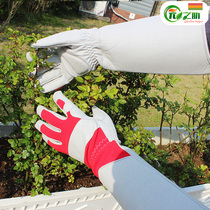 Rose stab-resistant gloves gardening pruning protective gear pulling grass and planting thickened planting flower repairing tools
